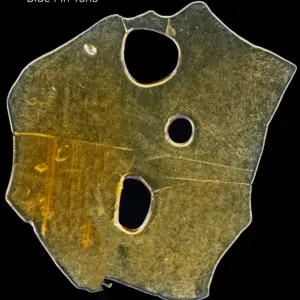 BALLER SLAB SHATTER – BLUE FIN TUNA (5 gram)