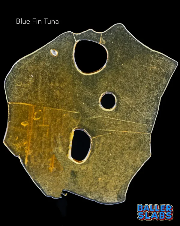 BALLER SLAB SHATTER – BLUE FIN TUNA (5 gram)