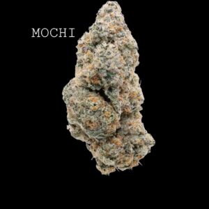 MOCHI