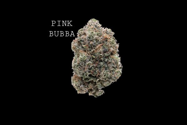 PINK BUBBA - ON SPECIAL!!!
