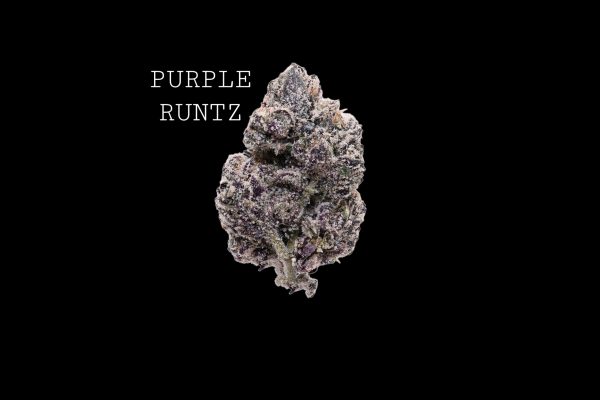 PURPLE RUNTZ