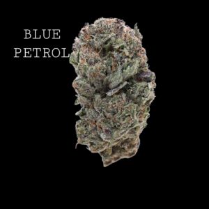 BLUE PETROL