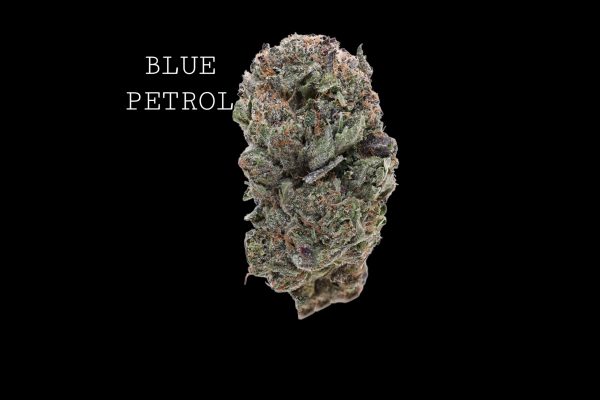 BLUE PETROL