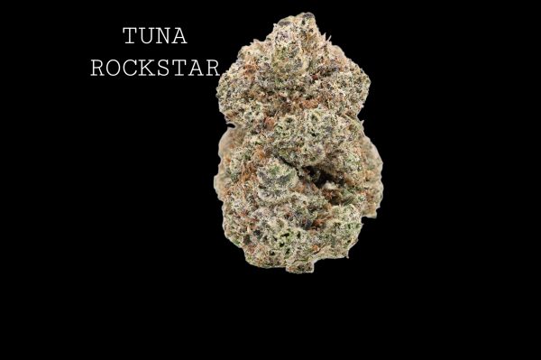 TUNA ROCKSTAR