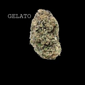 GELATO - ON SALE!!!