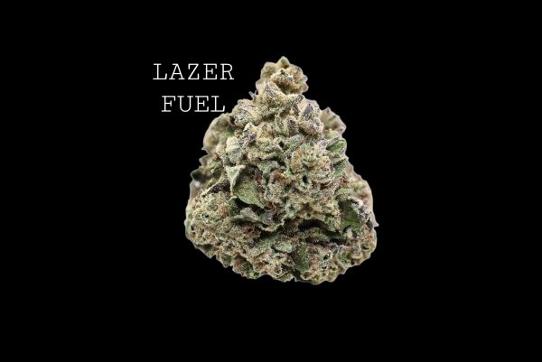 LAZER FUEL