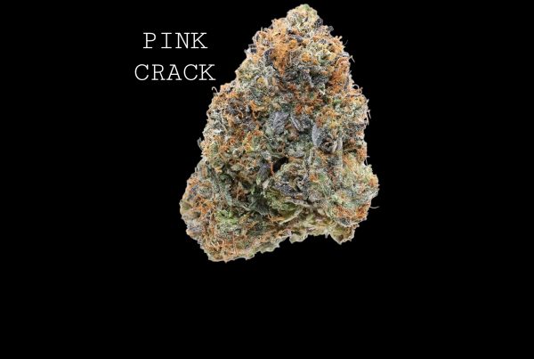 PINK CRACK