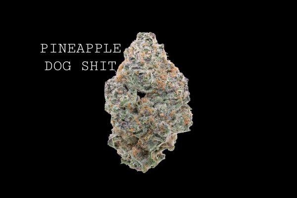 PINEAPPLE DOG SHIT