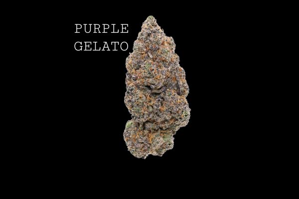 PURPLE GELATO