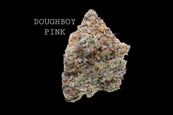 DOUGHBOY PINK