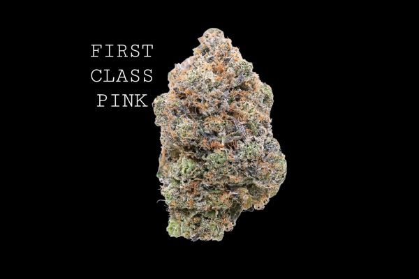 FIRST CLASS PINK