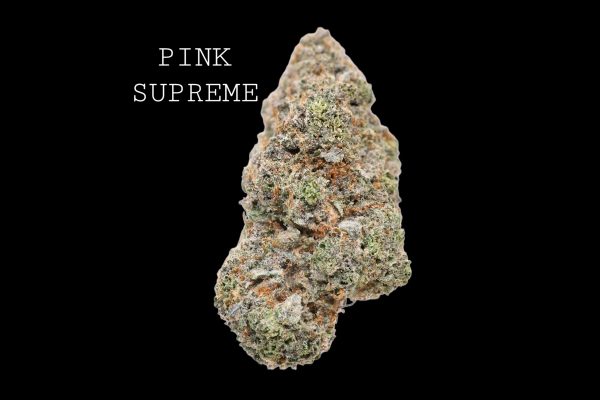 PINK SUPREME LSO