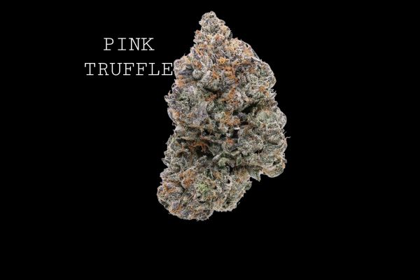 PINK TRUFFLE