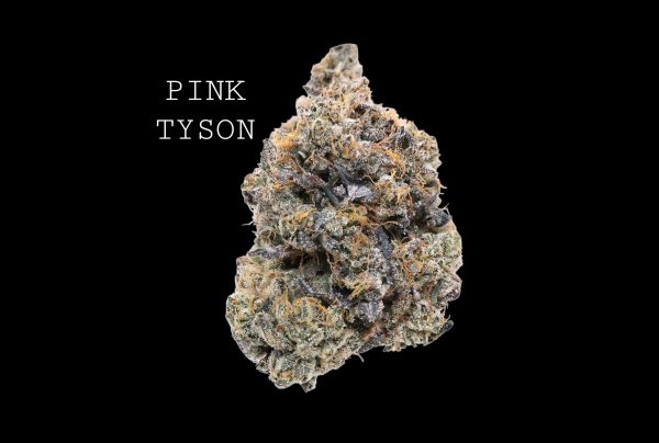 PINK TYSON