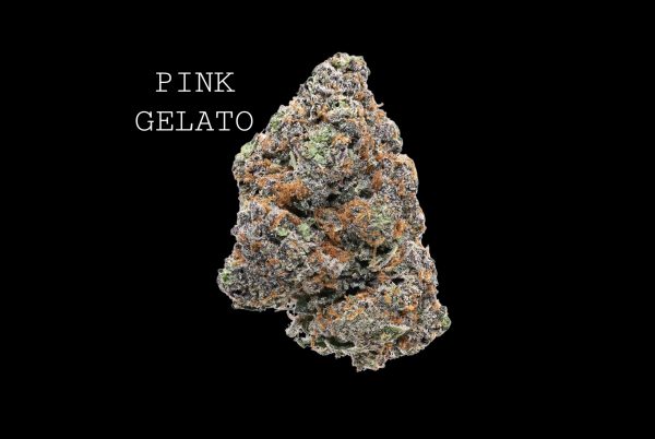PINK GELATO