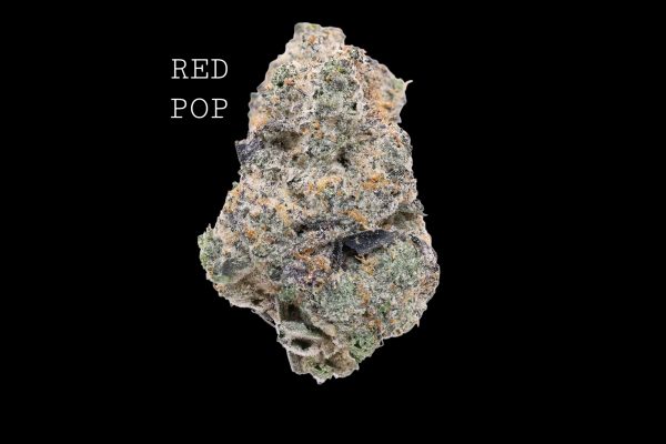 RED POP