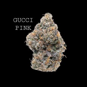 GUCCI PINK