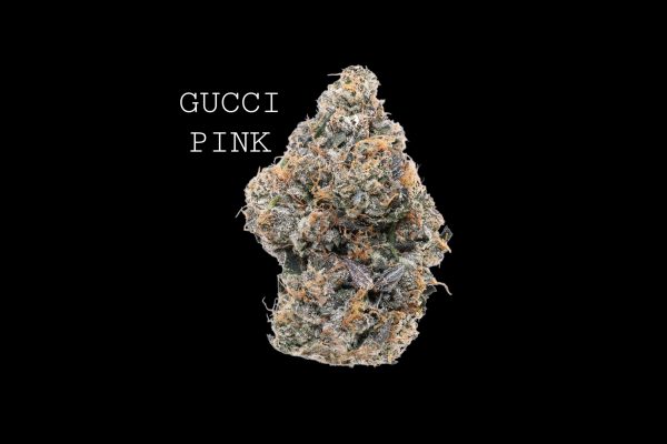 GUCCI PINK