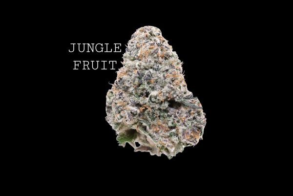 JUNGLE FRUIT