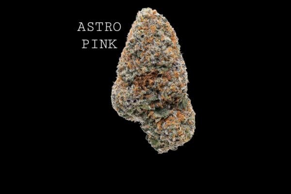 APINK-1 ASTRO PINK LSO