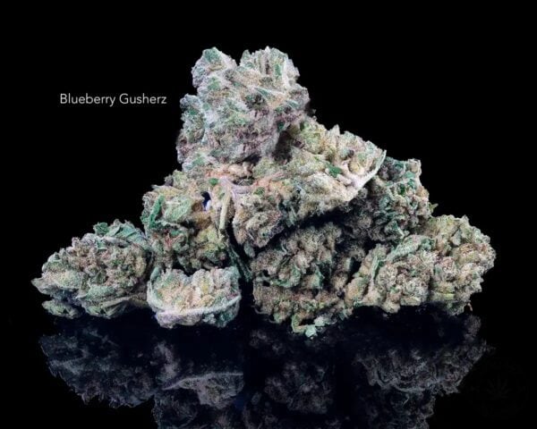BLUEBERRY GUSHERZ - ON SALE!!!