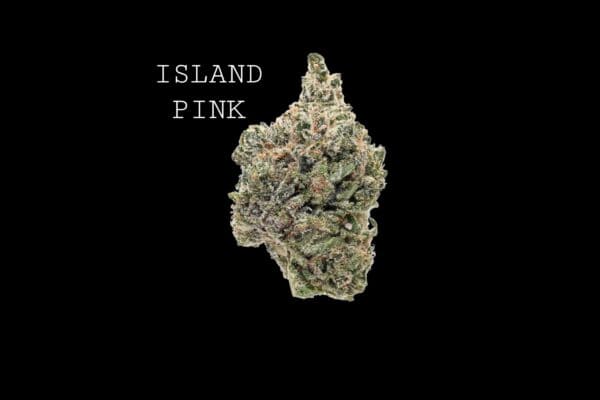 Ipink ISLAND PINK