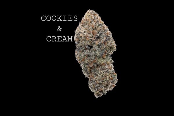 cookiescream-1 COOKIES & CREAM
