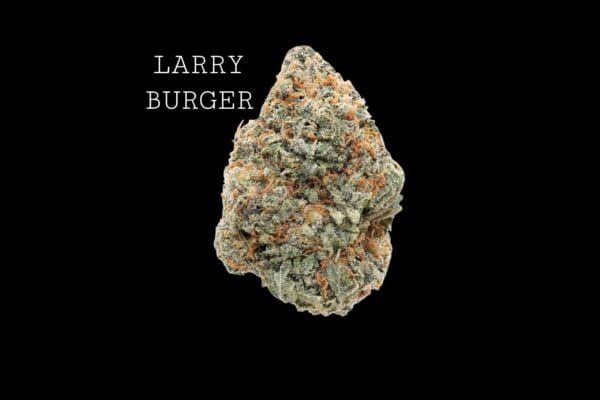 larry-burger-1 LARRY BURGER