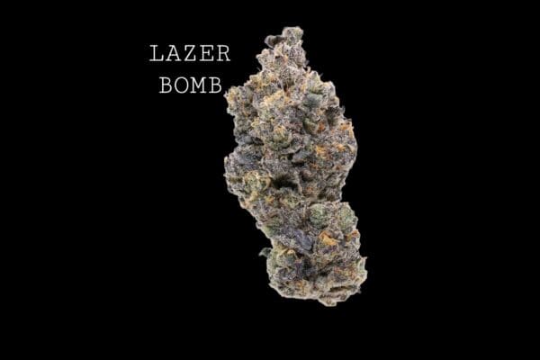 laserb-1 LAZER BOMB