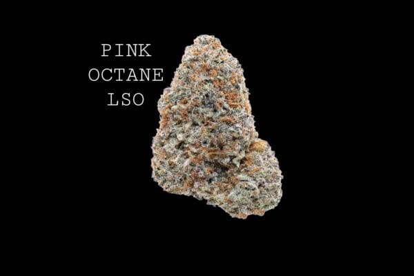 pinkoctane-1 PINK OCTANE LSO
