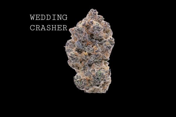 wedding-crasher-1 WEDDING CRASHER