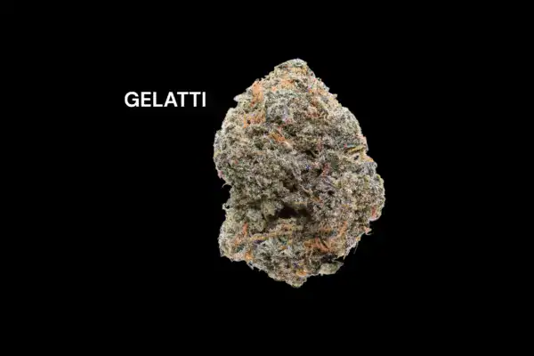 GELATTI