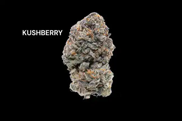 KUSHBERRY