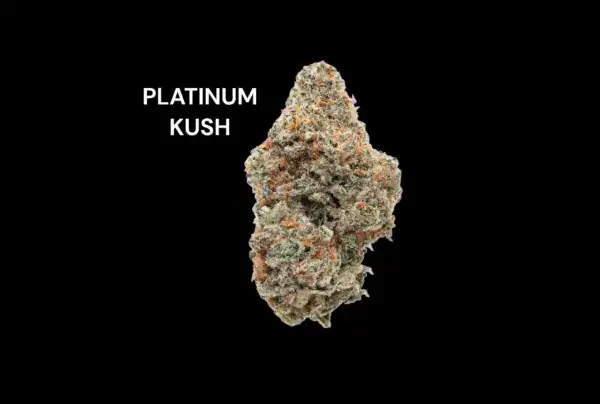 PLATINUM KUSH