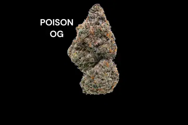 POISON OG