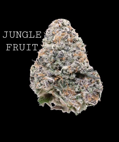 JUNGLE BERRY (1).jpg