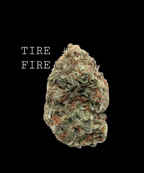 TFire (1)